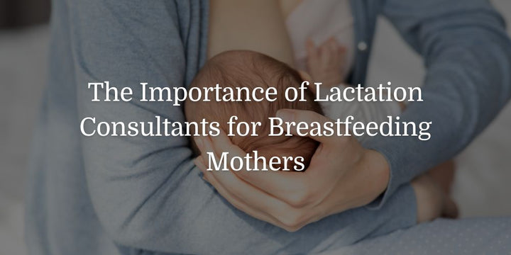 The Importance of Lactation Consultants for Breastfeeding Mothers - The Baby's Brew