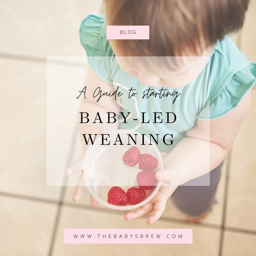 A Guide to Starting Baby Led Weaning - The Baby's Brew