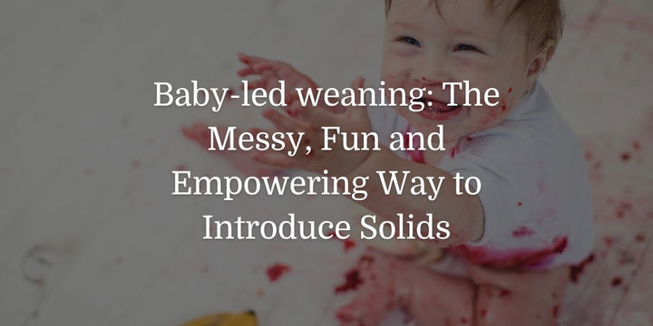 Baby-led weaning: The Messy, Fun and Empowering Way to Introduce Solids - The Baby's Brew