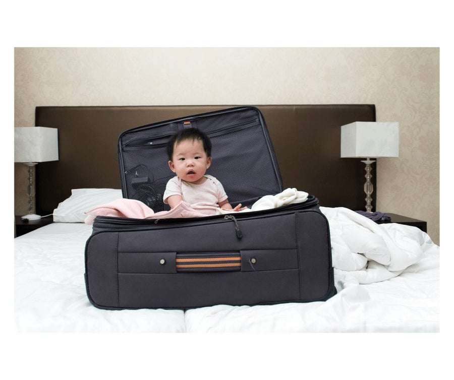 Tips for Traveling With Your Baby - The Baby's Brew