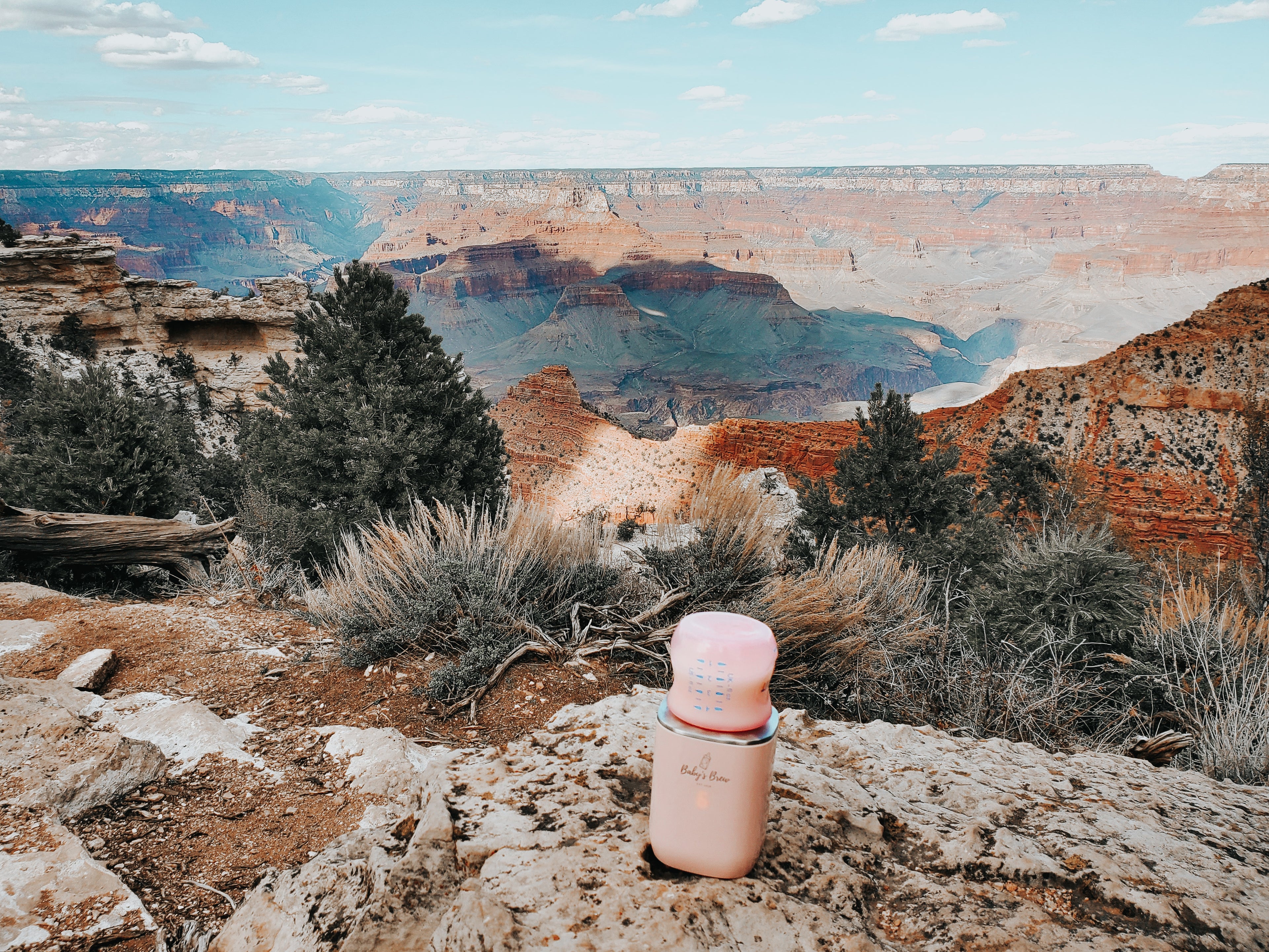Pink 3.0 Portable Bottle Warmer Pro