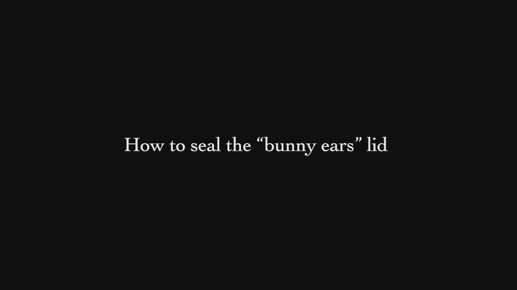 Replacement Bunny Ears