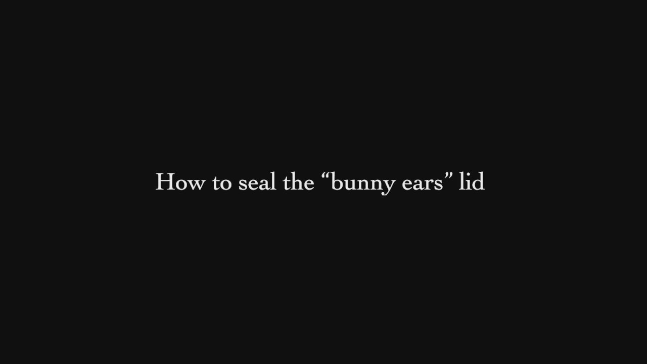 Replacement Bunny Ears